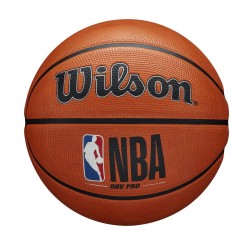 כדורסל וילסון